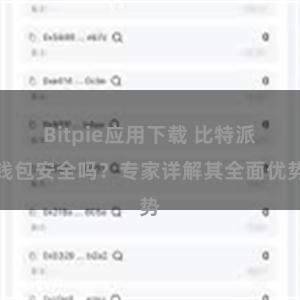 Bitpie应用下载 比特派钱包安全吗？专家详解其全面优势