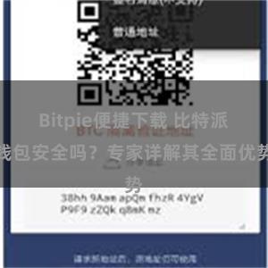 Bitpie便捷下载 比特派钱包安全吗？专家详解其全面优势