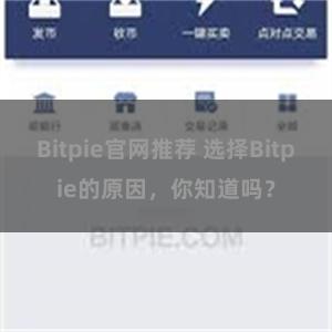 Bitpie官网推荐 选择Bitpie的原因，你知道吗？