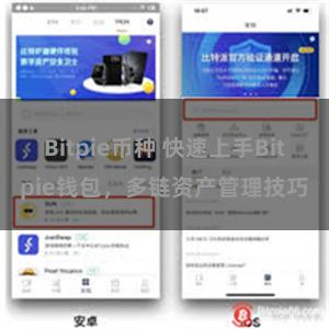 Bitpie币种 快速上手Bitpie钱包，多链资产管理技巧