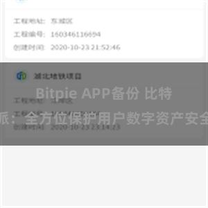 Bitpie APP备份 比特派：全方位保护用户数字资产安全