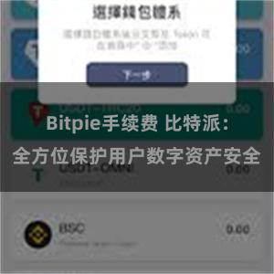 Bitpie手续费 比特派：全方位保护用户数字资产安全