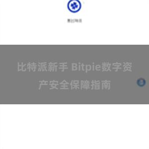 比特派新手 Bitpie数字资产安全保障指南