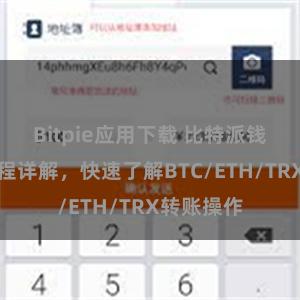 Bitpie应用下载 比特派钱包转账教程详解，快速了解BTC/ETH/TRX转账操作