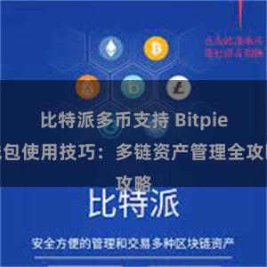 比特派多币支持 Bitpie钱包使用技巧：多链资产管理全攻略