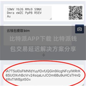 比特派APP下载 比特派钱包交易延迟解决方案分享