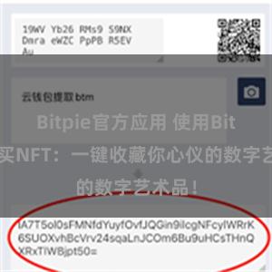 Bitpie官方应用 使用Bitpie购买NFT：一键收藏你心仪的数字艺术品！