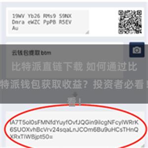 比特派直链下载 如何通过比特派钱包获取收益？投资者必看！