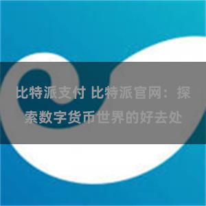 比特派支付 比特派官网：探索数字货币世界的好去处