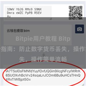 Bitpie用户教程 Bitpie麟备份指南：防止数字货币丢失，操作简单流畅