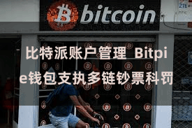 比特派账户管理  Bitpie钱包支执多链钞票科罚