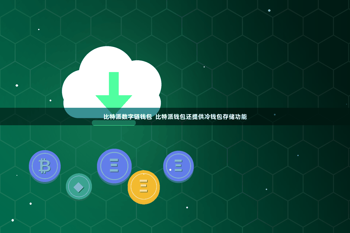 比特派数字链钱包  比特派钱包还提供冷钱包存储功能